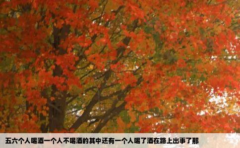 五六个人喝酒一个人不喝酒的其中还有一个人喝了酒在路上出事了那