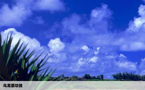 乌龙茶功效