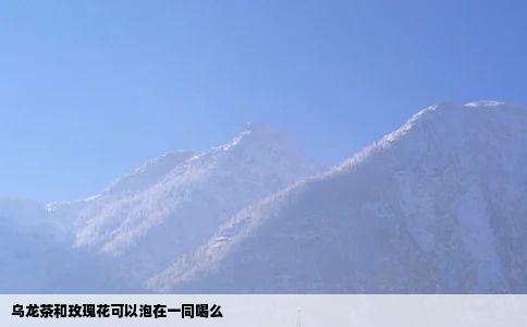 乌龙茶和玫瑰花可以泡在一同喝么