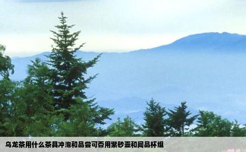 乌龙茶用什么茶具冲泡和品尝可否用紫砂壶和闻品杯组