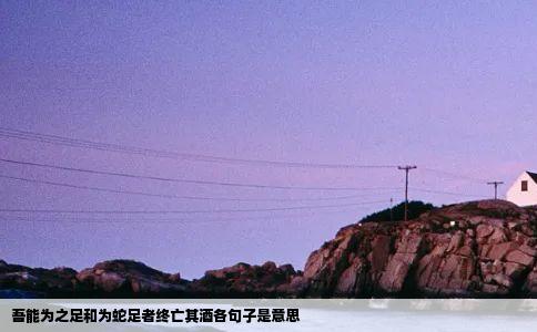 吾能为之足和为蛇足者终亡其酒各句子是意思