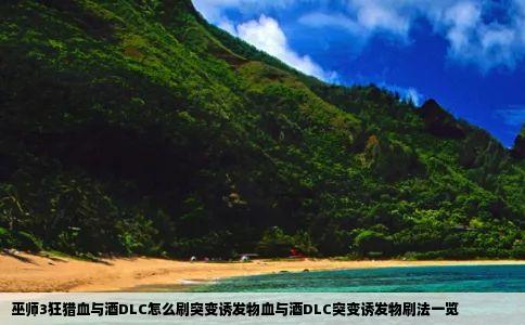 巫师3狂猎血与酒DLC怎么刷突变诱发物血与酒DLC突变诱发物刷法一览