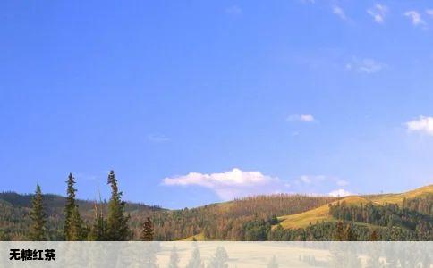无糖红茶