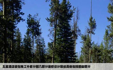 五星酒店装饰施工中都分那几部分装修设计图纸具体包括那些部分