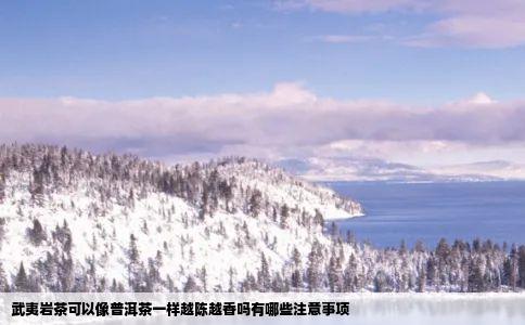 武夷岩茶可以像普洱茶一样越陈越香吗有哪些注意事项