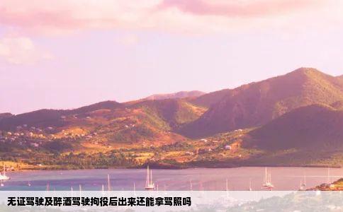 无证驾驶及醉酒驾驶拘役后出来还能拿驾照吗