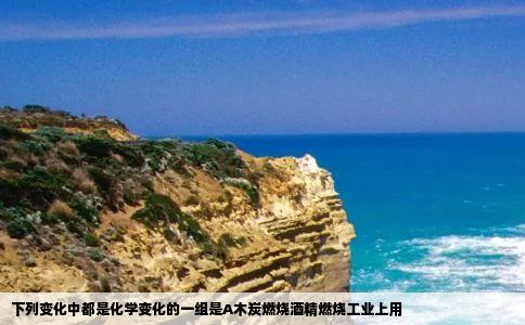 下列变化中都是化学变化的一组是A木炭燃烧酒精燃烧工业上用