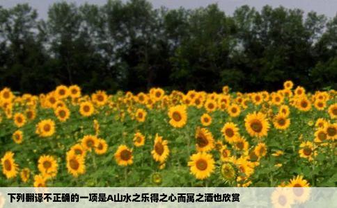 下列翻译不正确的一项是A山水之乐得之心而寓之酒也欣赏