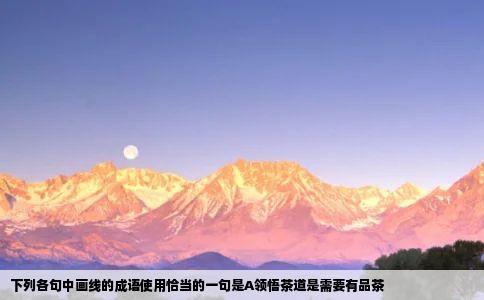 下列各句中画线的成语使用恰当的一句是A领悟茶道是需要有品茶