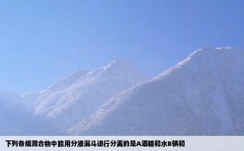 下列各组混合物中能用分液漏斗进行分离的是A酒精和水B碘和