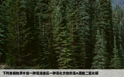 下列各组物质中前一种是溶液后一种是化合物的是A酒精二氧化碳