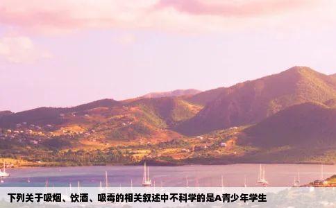 下列关于吸烟、饮酒、吸毒的相关叙述中不科学的是A青少年学生
