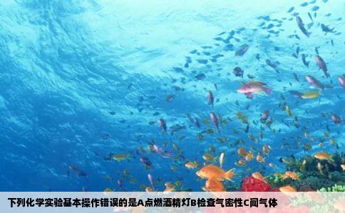 下列化学实验基本操作错误的是A点燃酒精灯B检查气密性C闻气体