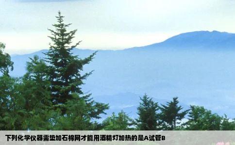 下列化学仪器需垫加石棉网才能用酒精灯加热的是A试管B