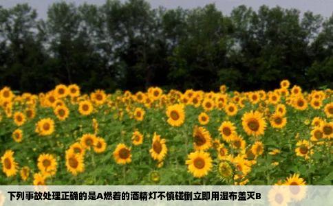 下列事故处理正确的是A燃着的酒精灯不慎碰倒立即用湿布盖灭B