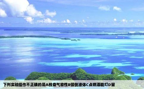 下列实验操作不正确的是A检查气密性B倾倒液体C点燃酒精灯D量