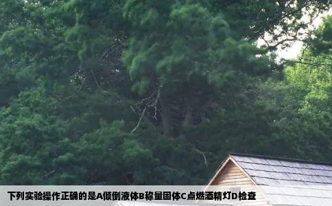 下列实验操作正确的是A倾倒液体B称量固体C点燃酒精灯D检查