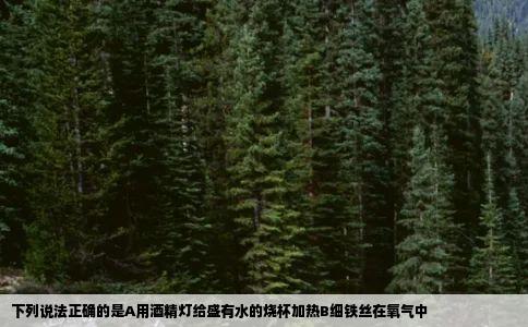下列说法正确的是A用酒精灯给盛有水的烧杯加热B细铁丝在氧气中