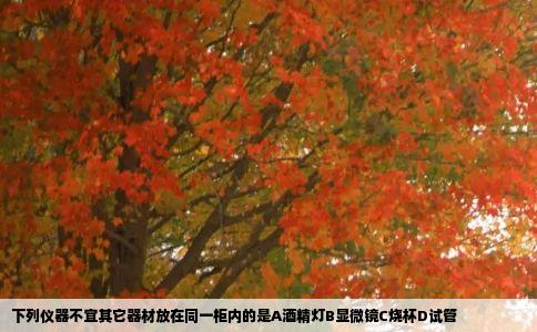 下列仪器不宜其它器材放在同一柜内的是A酒精灯B显微镜C烧杯D试管