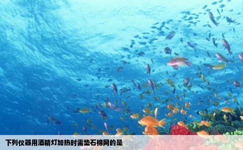 下列仪器用酒精灯加热时需垫石棉网的是