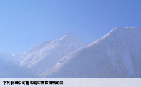下列仪器中可用酒精灯直接加热的是