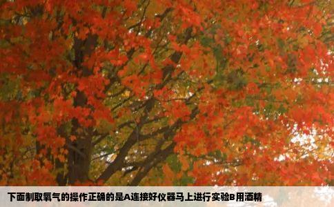 下面制取氧气的操作正确的是A连接好仪器马上进行实验B用酒精