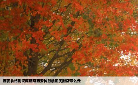 西安北站到汉庭酒店西安钟鼓楼回民街店怎么走