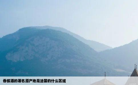 香槟酒的著名原产地是法国的什么区域