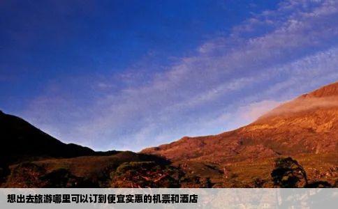 想出去旅游哪里可以订到便宜实惠的机票和酒店