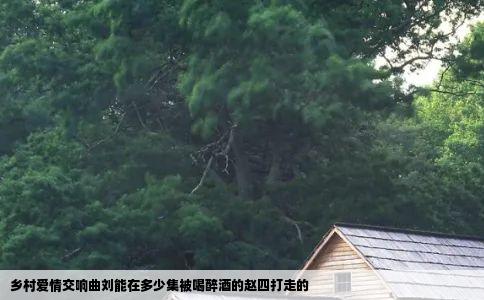 乡村爱情交响曲刘能在多少集被喝醉酒的赵四打走的