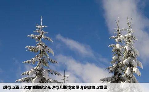 想带点酒上火车铁路规定允许带几瓶或容量请专家给点意见