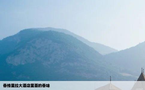 香格里拉大酒店里面的香味