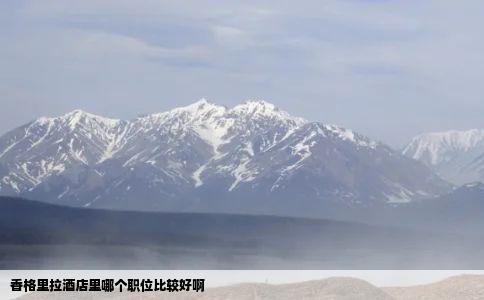 香格里拉酒店里哪个职位比较好啊