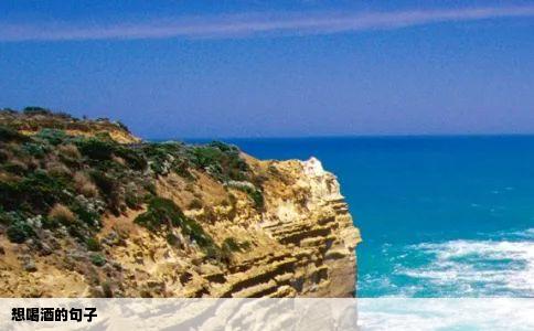 想喝酒的句子