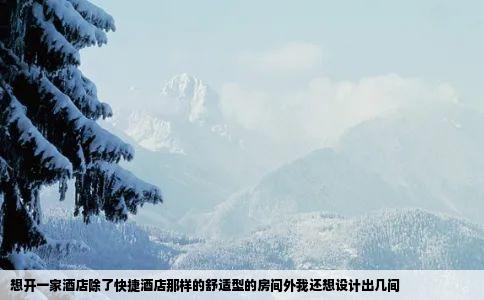 想开一家酒店除了快捷酒店那样的舒适型的房间外我还想设计出几间