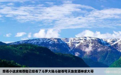 想看小说求推荐我已经看了斗罗大陆斗破苍穹天珠变酒神求大哥