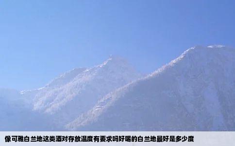 像可雅白兰地这类酒对存放温度有要求吗好喝的白兰地最好是多少度