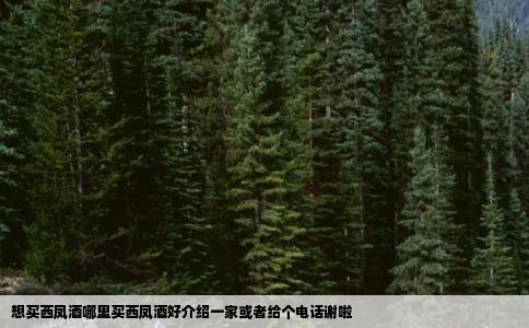 想买西凤酒哪里买西凤酒好介绍一家或者给个电话谢啦