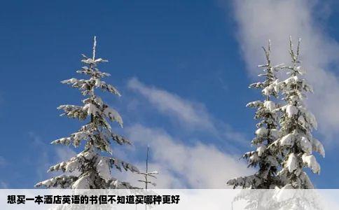 想买一本酒店英语的书但不知道买哪种更好