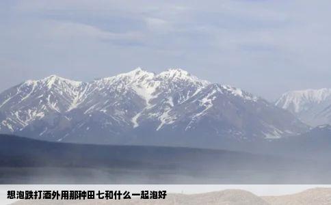 想泡跌打酒外用那种田七和什么一起泡好