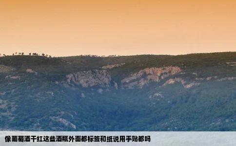 像葡萄酒干红这些酒瓶外面都标签和纸说用手贴都吗