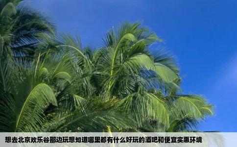 想去北京欢乐谷那边玩想知道哪里都有什么好玩的酒吧和便宜实惠环境