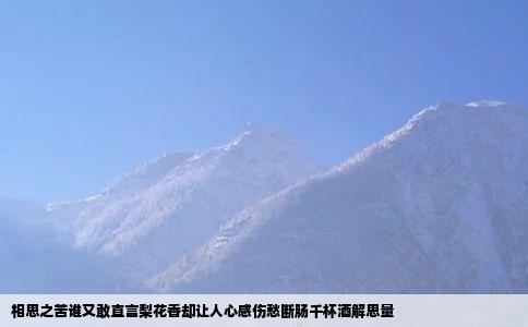 相思之苦谁又敢直言梨花香却让人心感伤愁断肠千杯酒解思量