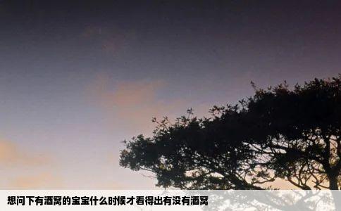 想问下有酒窝的宝宝什么时候才看得出有没有酒窝