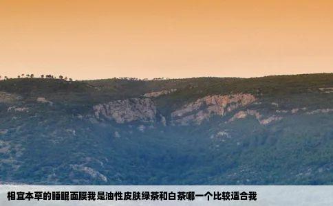 相宜本草的睡眠面膜我是油性皮肤绿茶和白茶哪一个比较适合我