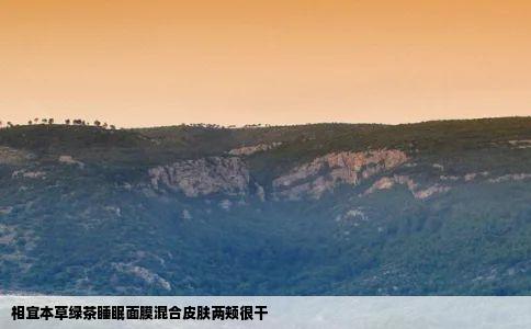 相宜本草绿茶睡眠面膜混合皮肤两颊很干