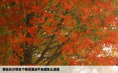 想在长沙预定个婚宴酒店不知道怎么选择