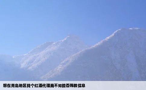 想在青岛地区找个红酒代理商不知能否赐教信息