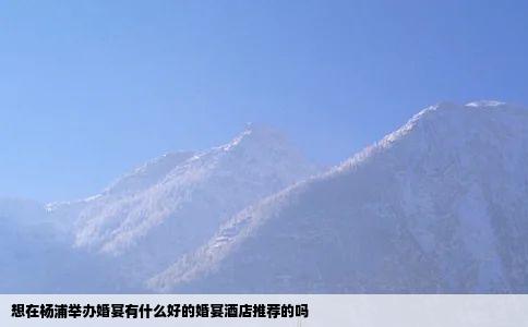 想在杨浦举办婚宴有什么好的婚宴酒店推荐的吗