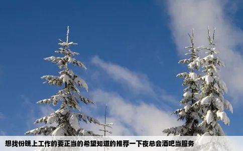 想找份晚上工作的要正当的希望知道的推荐一下夜总会酒吧当服务
